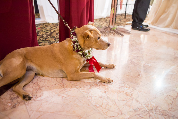 1362-20161022-JessRussel-DN.jpg