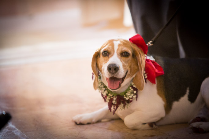 1387-20161022-JessRussel-DN.jpg